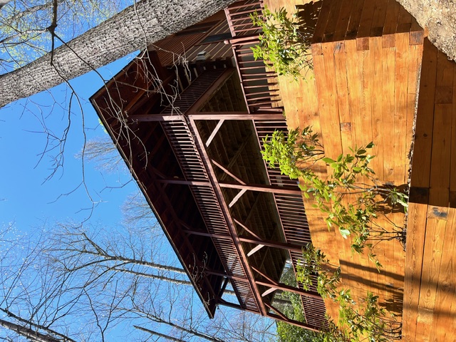 Transformative Deck Staining in Newland, North Carolina